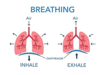 Teknik Pernapasan Sehat, Kunci Hidup Lebih Bahagia dan Panjang Umur